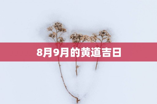 8月9月的黄道吉日