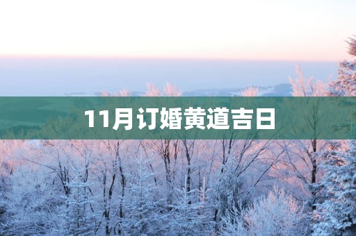 11月订婚黄道吉日