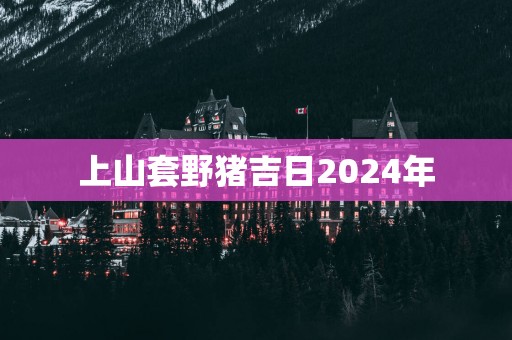 上山套野猪吉日2025年