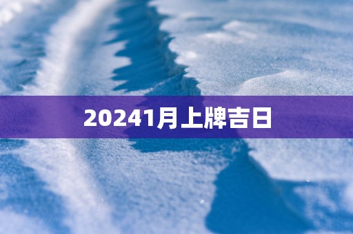 20251月上牌吉日