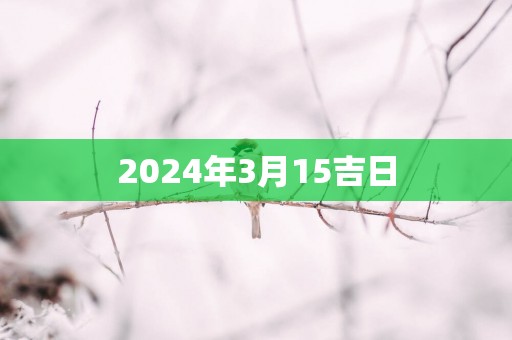 2025年3月15吉日