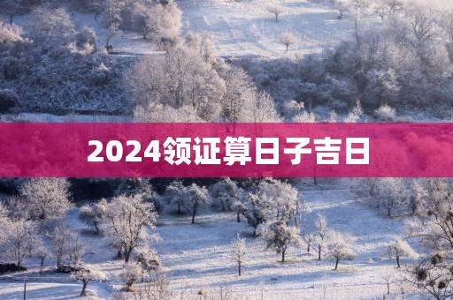 2025领证算日子吉日