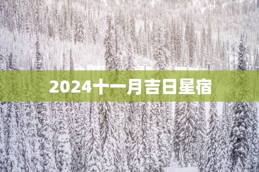 2025十一月吉日星宿