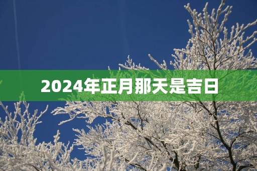 2025年正月那天是吉日