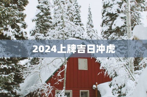 2025上牌吉日冲虎