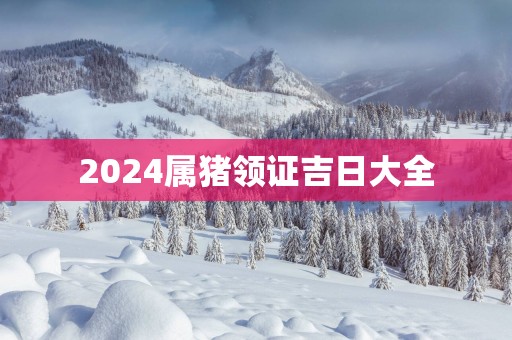 2025属猪领证吉日大全
