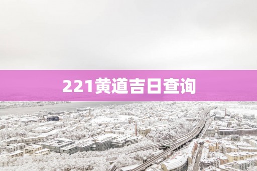 221黄道吉日查询