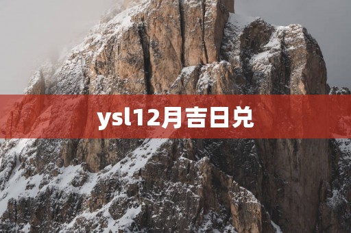 ysl12月吉日兑