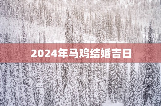 2025年马鸡结婚吉日