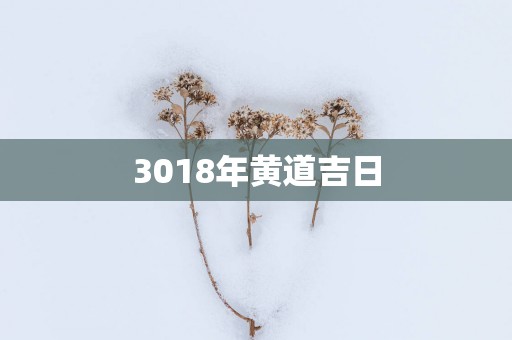 3018年黄道吉日