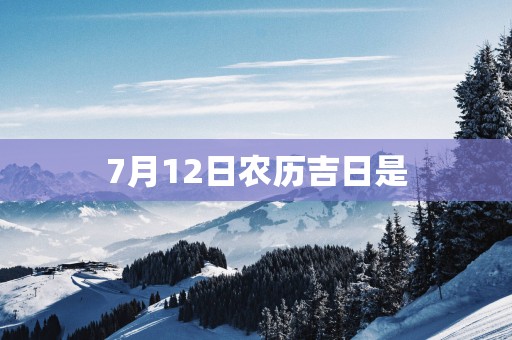 7月12日农历吉日是