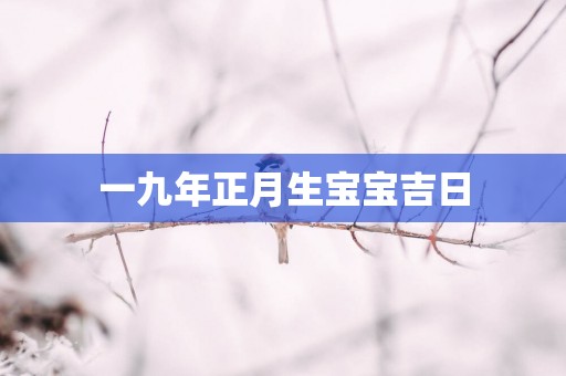 一九年正月生宝宝吉日