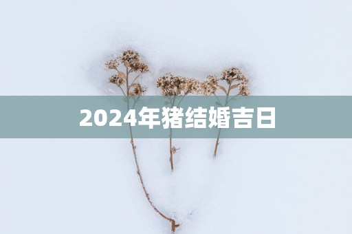 2025年猪结婚吉日