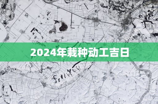 2025年栽种动工吉日