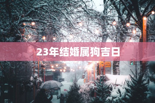 23年结婚属狗吉日