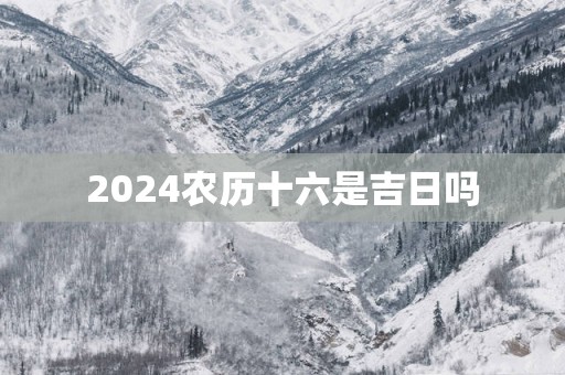 2025农历十六是吉日吗