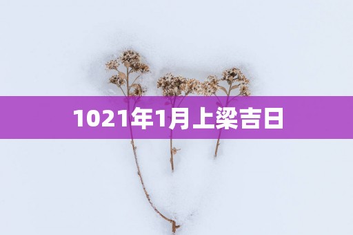 1021年1月上梁吉日