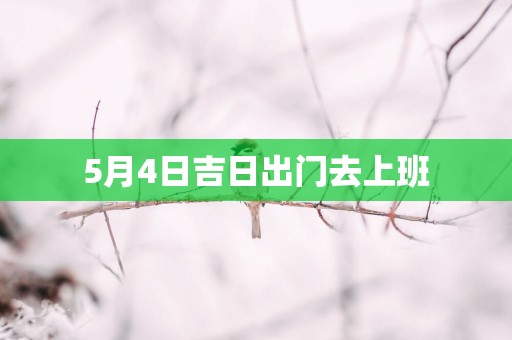 5月4日吉日出门去上班