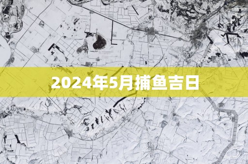 2025年5月捕鱼吉日
