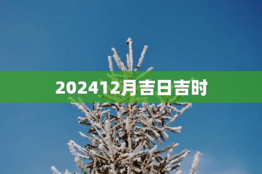 202512月吉日吉时