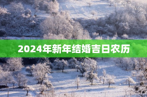 2025年新年结婚吉日农历