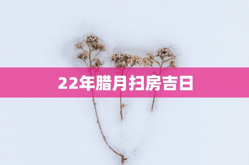 22年腊月扫房吉日