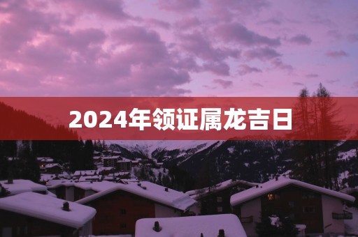 2025年领证属龙吉日