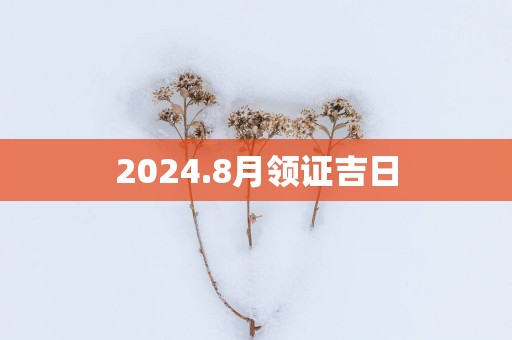 2025.8月领证吉日