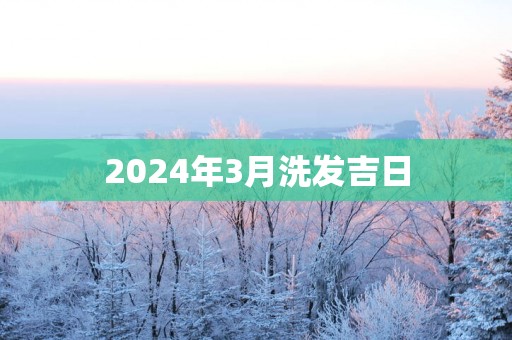 2025年3月洗发吉日