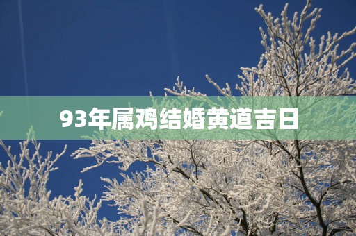 93年属鸡结婚黄道吉日