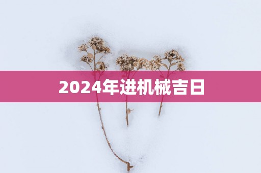 2025年进机械吉日