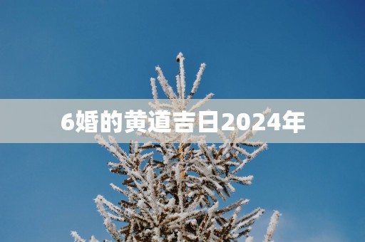 6婚的黄道吉日2025年