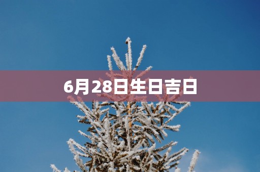 6月28日生日吉日