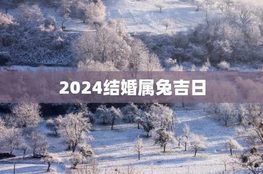 2025结婚属兔吉日