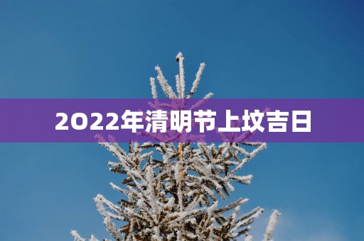 2O22年清明节上坟吉日