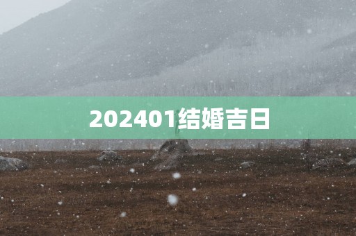 202501结婚吉日
