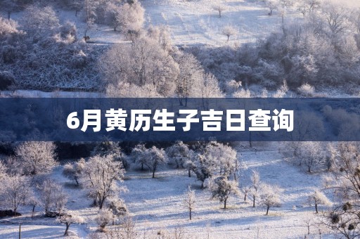 6月黄历生子吉日查询