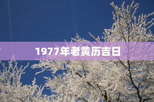 1977年老黄历吉日
