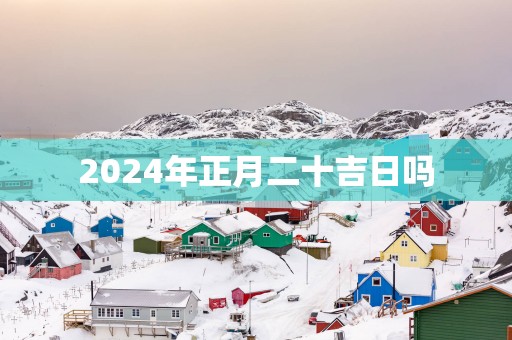 2025年正月二十吉日吗
