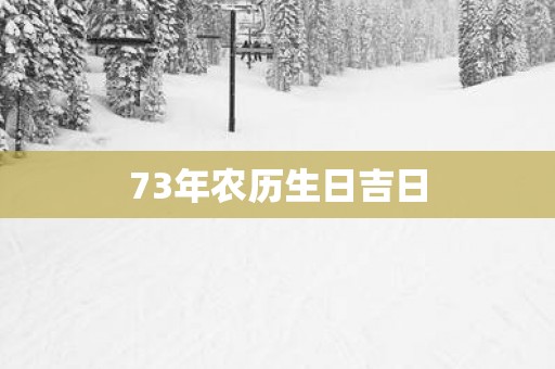 73年农历生日吉日