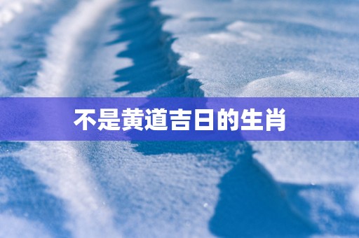 不是黄道吉日的生肖