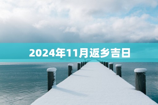 2025年11月返乡吉日