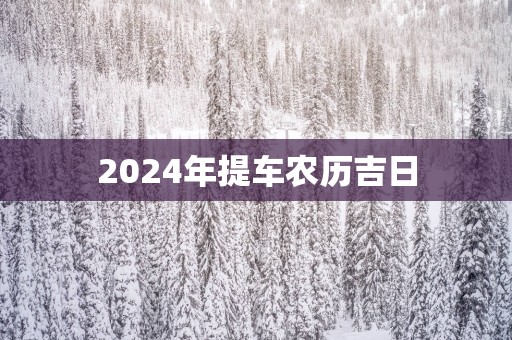 2025年提车农历吉日