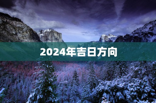 2025年吉日方向