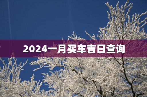 2025一月买车吉日查询