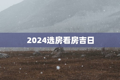 2025选房看房吉日