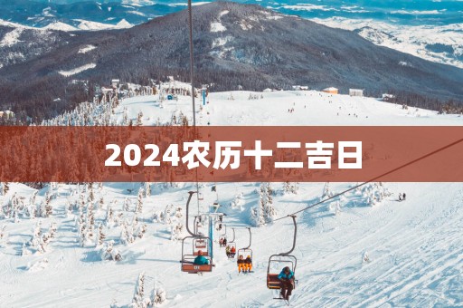 2025农历十二吉日