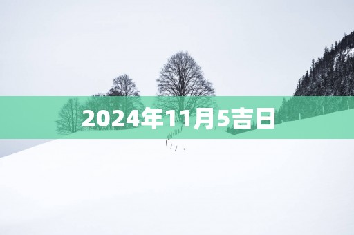 2025年11月5吉日