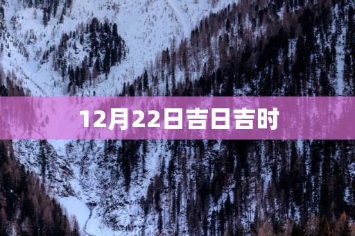 12月22日吉日吉时