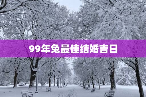 99年兔最佳结婚吉日